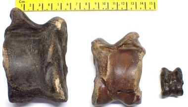 &copy;  Thijs de Boer